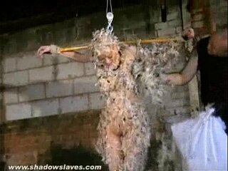 Asian bondage in feathers and bizarre Japanese domination by a bound Kumimonster (domination, bizarre)